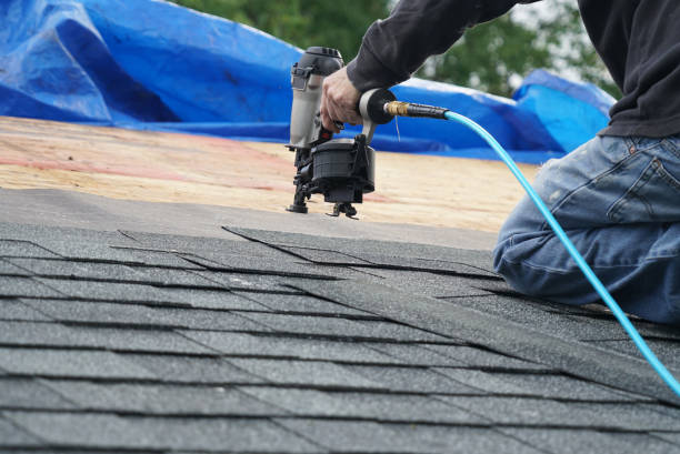 Best Roof Gutter Cleaning  in Staunton, IL