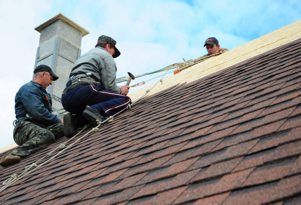 Best Gutter Installation and Roofing  in Staunton, IL